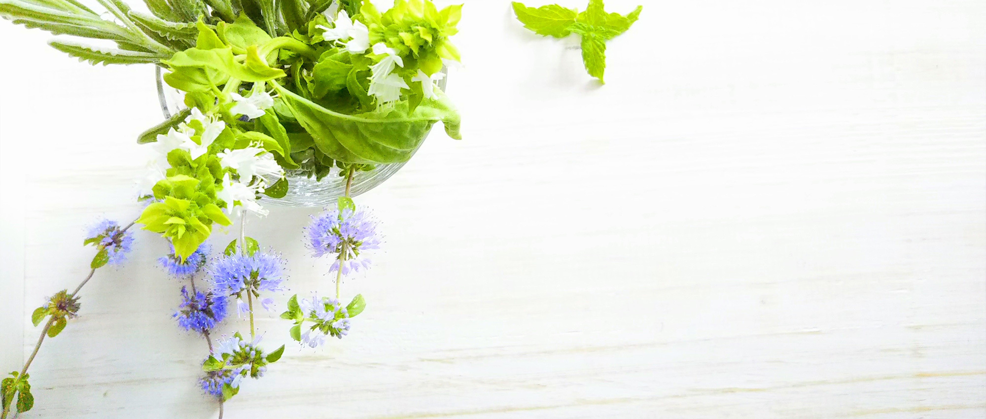 島尻郡八重瀬町、耳鼻咽喉科